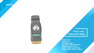 6014 C 1/4'' 3 Way Normally Closed Brass Solenoid 