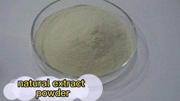 Centella Asiatica Extract Powder