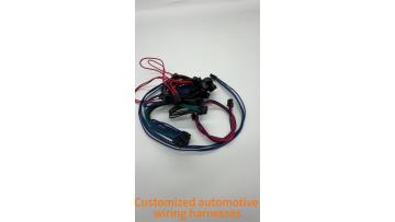 Professional custom wiring harness 1.3