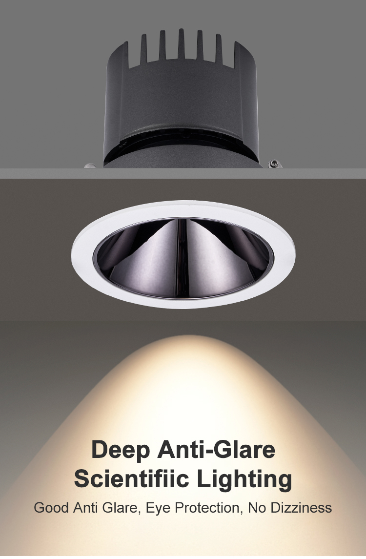 01 Cob Downlight