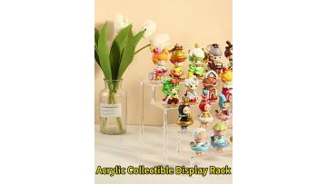 Acrylic Collectible Display Rack