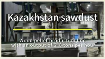 sawdust pellet line with an output of 6 to 8 tons per hour was exported to Kazakhstan.