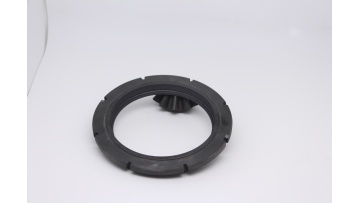 graphite sealing ring