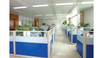 Company Video