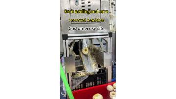 Pear peeling coring machine Apple peeling machine