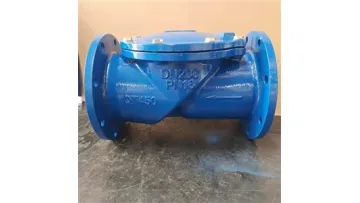 BS Standard Non-Return Valve with Flanges GB1724.61