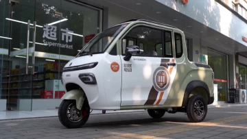 2-Door Cargo Electric Trike