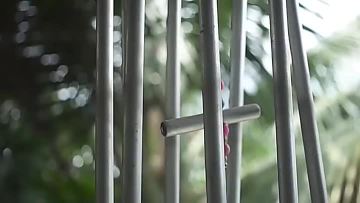 Smart fan 1X -2.mp4
