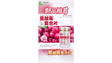 2025 NEW PRODUCT (4)