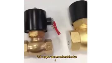 All Copper Solenoid Valve