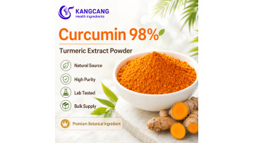 Curcumin 98% Powder