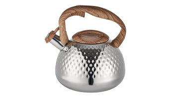 Stainless Steel Bakelite handle Whistling kettle FH-586