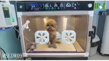 Pet ICU Incubator Animal ICU with Temperature Self-Adaption Adjustment System1
