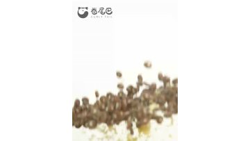OEM complete freeze-dried cat food