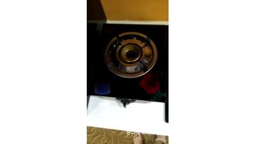 Mini Gas Cooker