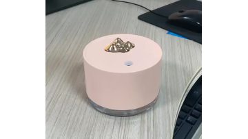 LS2 Humidifier