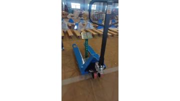 weight of pallet truck