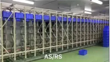 Asrs Warehouse Racking Automated Storage Retrieval System1