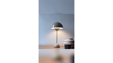 Modern fashion decorative lamp [SK-4721]