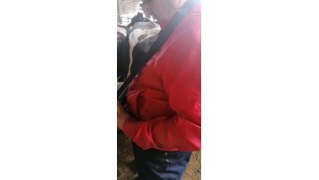 portable ultrasound machine