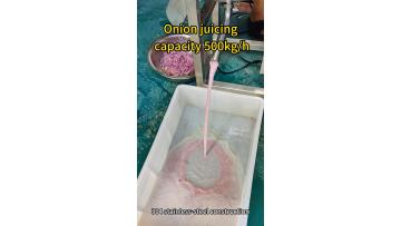 Industrial Onion Screw Press Juicer