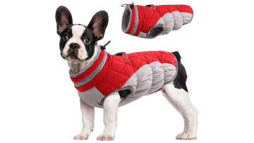 pet snow jacket   (1)