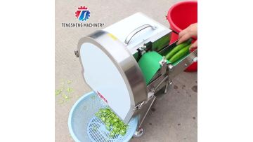 TS-Q30 Commercial Vegetable Cutting Machine for Restaurants