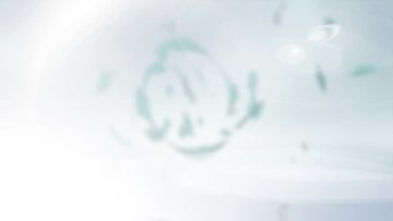 Company Introduction