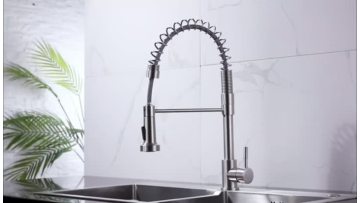 Sprayer Spring Kitchen Faucet