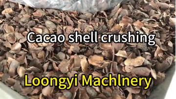 cacao shell acm mill