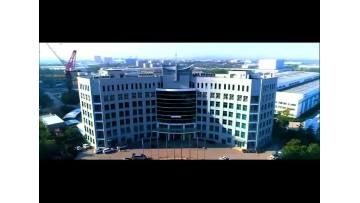 Company video.mp4