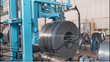 Vertical Lifting Strapping Machine with Single Head and Roller Conveyor