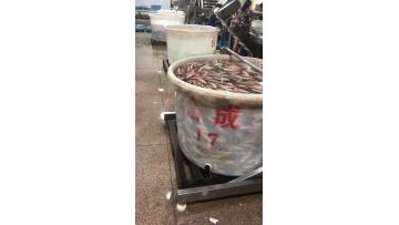 fish production line