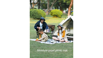 Camel Outdoor Cute Panda Picnic Mat Moisture-proof Portable Wear-resistant Camping Picnic Cushion Mat1