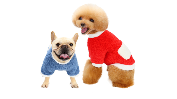 pet clothing india