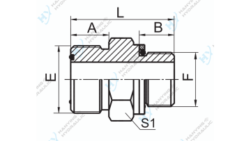 ORFS Male O-Ring BSP Male O-Ring