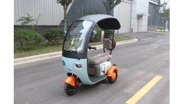 jinxiongmao other tricycles electric	