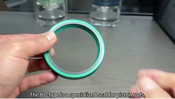 BD Engineering Mechanical Seal