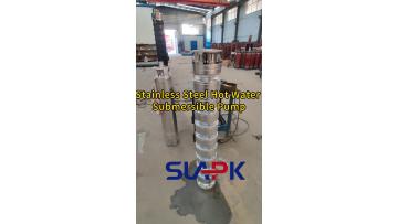 Stainless Steel Hot Water Submersible Pump