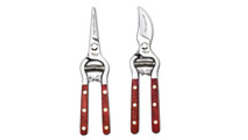 Factory Outlet Bonsai Plant Branches Bypass Pruner SK5 Pruning Shears Orchard Gardening Hand Tools Garden Scissors1