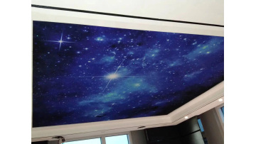 Starry Sky Ceiling