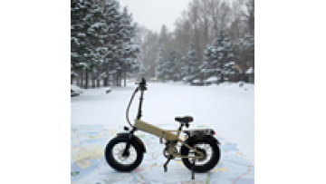 SL-E20102A-7S Electric Folding Bicycle: 7 Speed Aluminum Frame E-Bike with Rear Carrier1