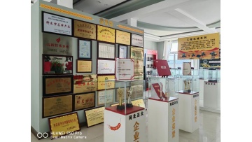 China Zhengda Brake Pads Won Patent Award