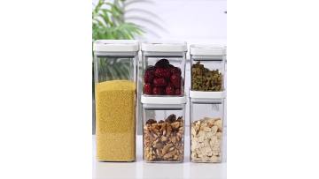 Handled Sealed Container