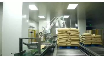 Shandong Bailong Chuangyuan's powder package