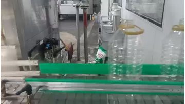 Qianshan Wuguxiang Rapeseed Oil Automatic Filling & Packing Line in Full Production