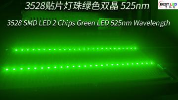 3528 SMD LED 2 Chips Green LED 525nm Wavelength