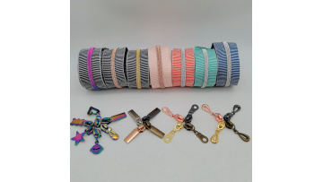 Striped Nylon Zipper
