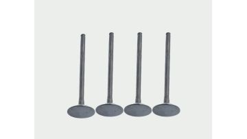 VALVE EXHAUST