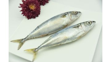 Mackerel Whole Round